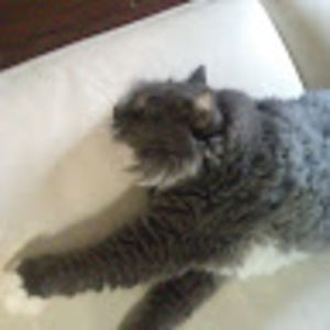 Meet your Posher, Marie